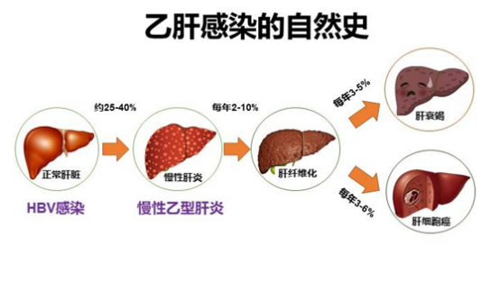 74ca14f964ddaa65d0e19dfb54b1559b.png